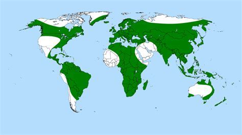 Carnivores Around The World 2025 𝚆𝚊𝚝𝚌𝚑 Online Without VPN
