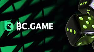 The Ultimate Guide to BC.Game Online Platform