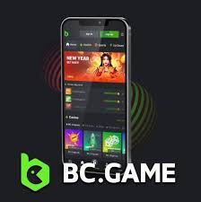 Understanding Restricted Countries on BCFun A Comprehensive Guide