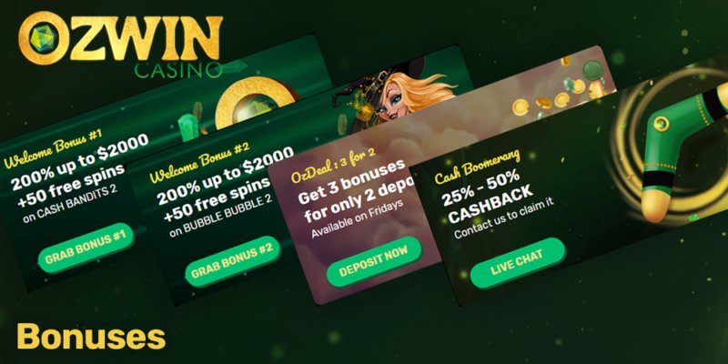 What You’ll Get After Signing Up - overview